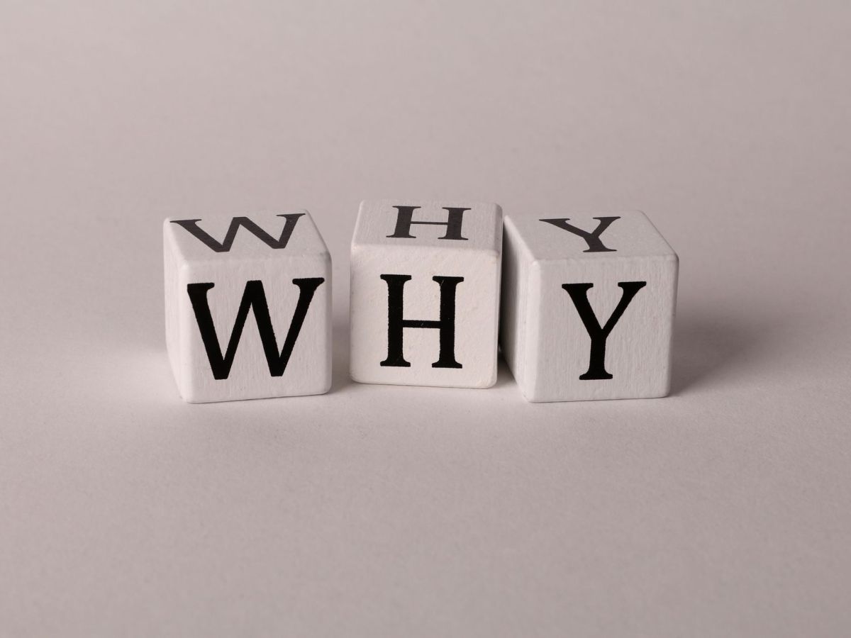 Why “The Why”